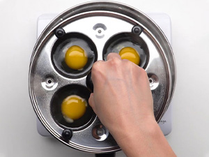 Egg Poacher