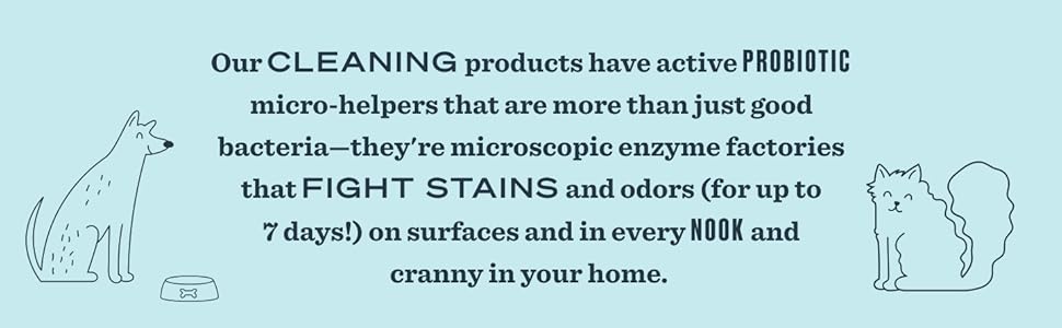 pet cleaning, pet stain remover, pet odor removal