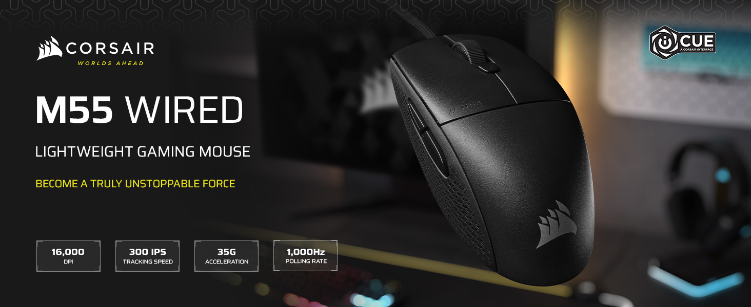 gaming mouse; lightweight mouse; symmetrical mouse; wired mouse