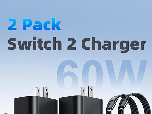 switch 2 charger