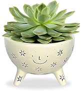 plant pots planters indoor flower ceramic small planter stand herb accessories cute pot window sill