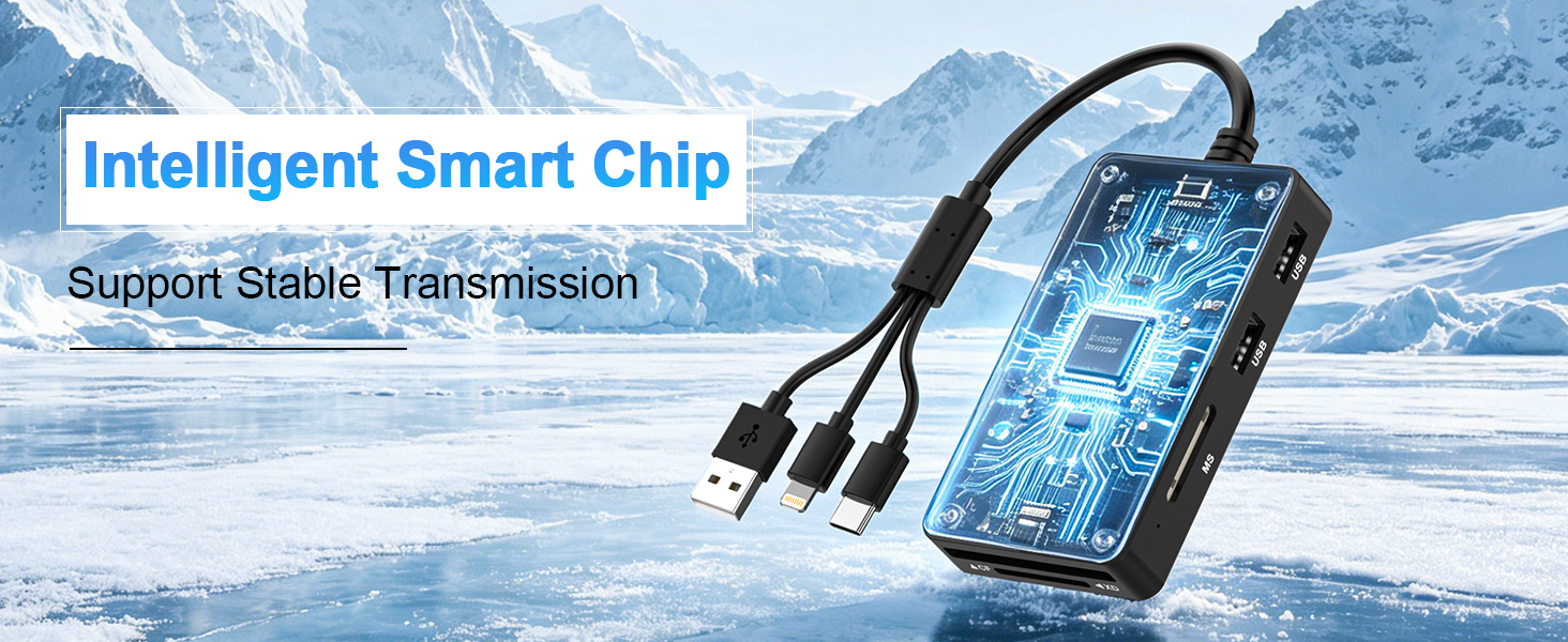 Memory Stick Pro Duo Adapter