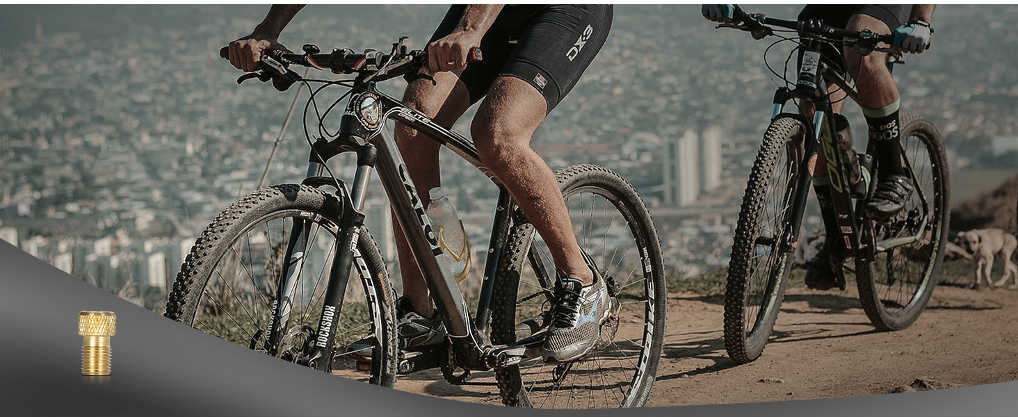 AstroAI Tire Inflator