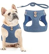 PUPTECK Dog Harness and Leash Set for Small Medium Dogs No Pull Step-in Soft Mesh Puppy Cat Vest ...