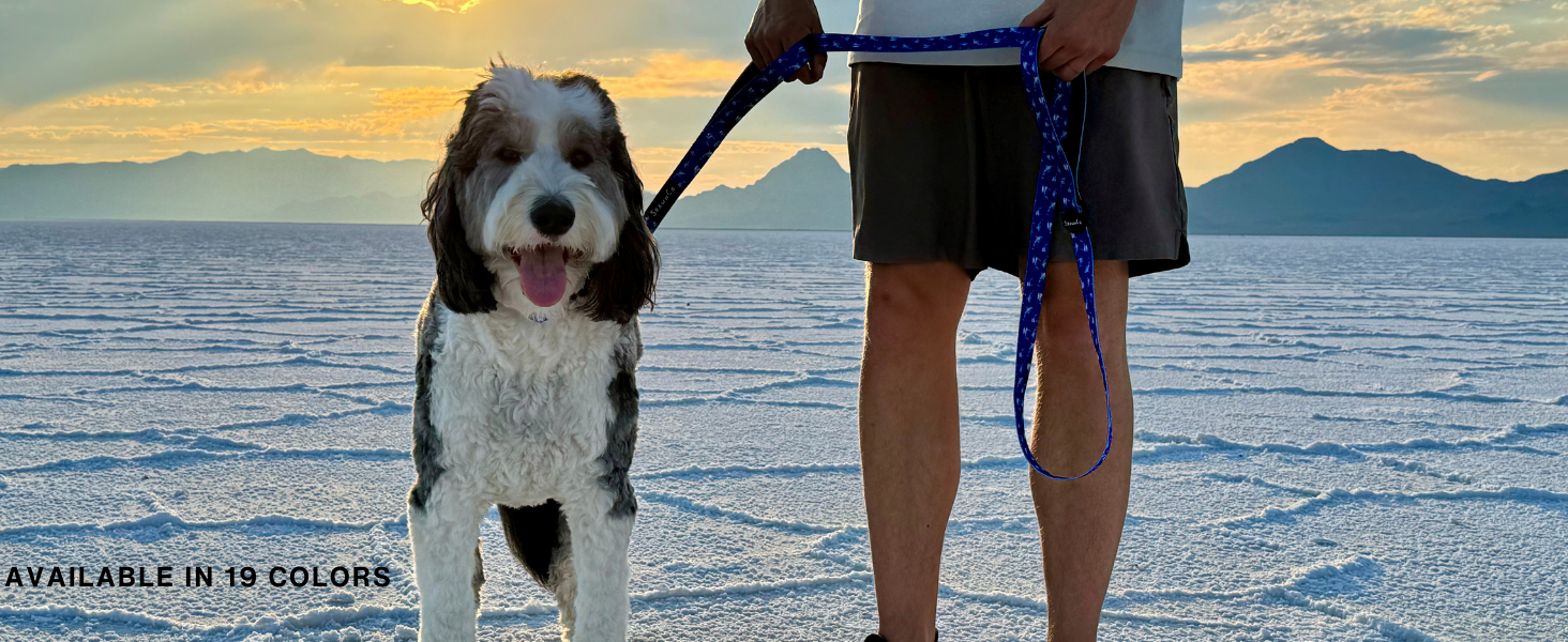 traffic control leash, leash with two handles, control handle leash
