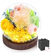 Preserved Flowers Eternal Roses in Glass Dome for Women Mom Wife Grandma, Unique Gifts for Christ...