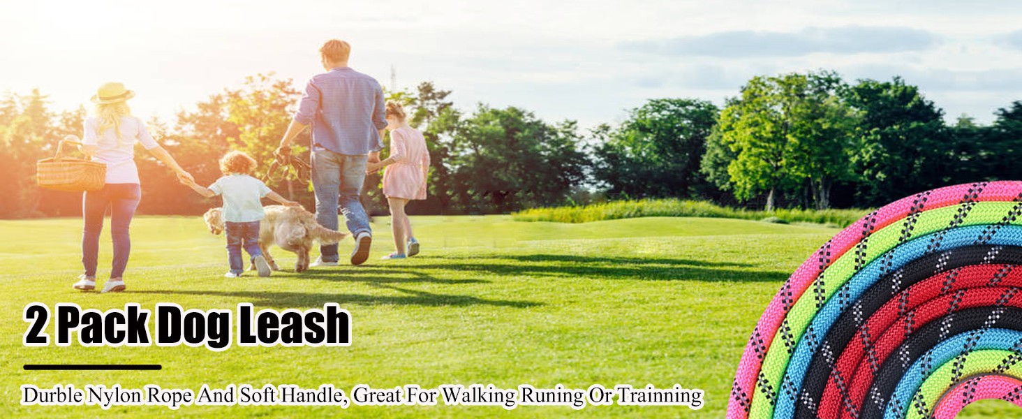 Dog Leash with Comfortable Padded Handle, Highly Reflective Threads Dog Leash for Medium Large Dogs