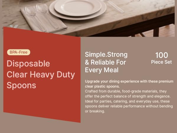 Disposable Cutlery Set 100 Pieces Spoons