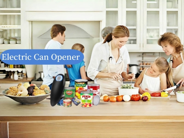 Electric can opener