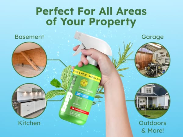 all areas property