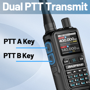 Dual PTT