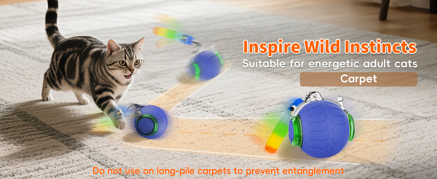 interactive cat ball toys for indoor cats