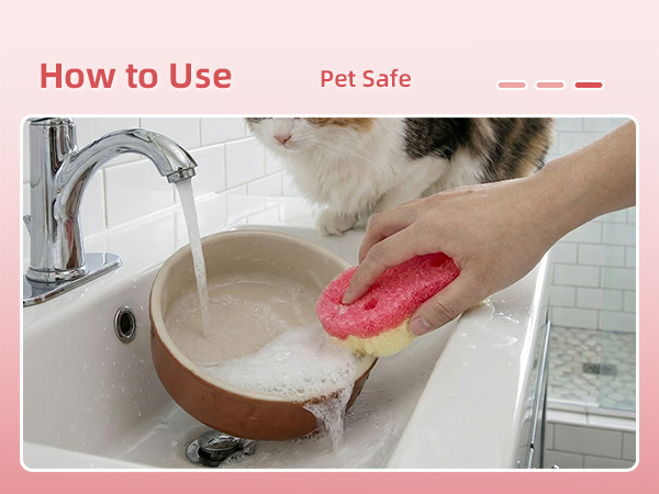 Pet Safe