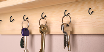 cup hooks hanging