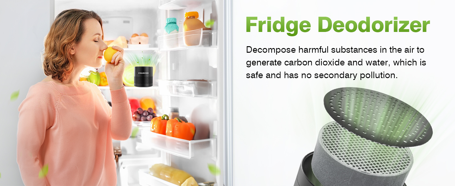 fridge deodorizer
