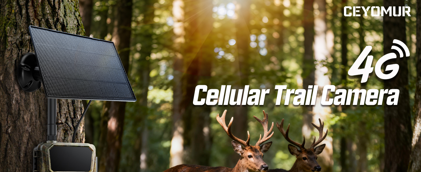 trail camera