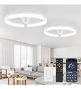 LEDIARY 2 Pack 20" Ceiling Fans with Lights and Remote, Low Profile Ceiling Fan, 3 CCT, Stepless ...