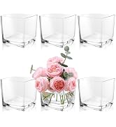 LDHHYH 6 Pack 5 x 5 x 5 Inch Square Glass Vases, Clear Square Vases for Centerpiece, Cube Flower ...