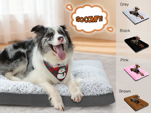 dog bed