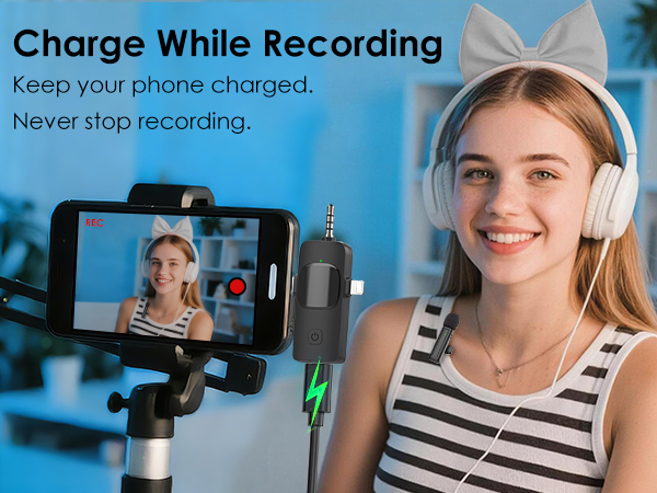 mini mic