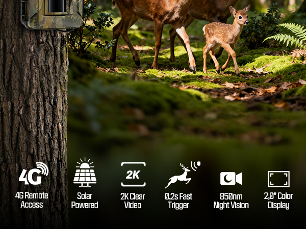 solar trail camera