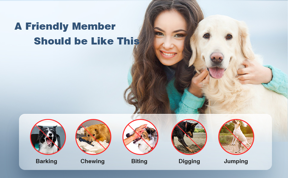 dog training collar with remote e collar for dogs training