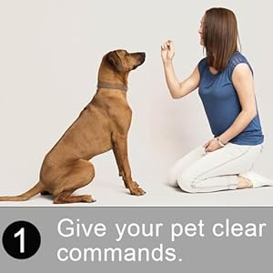 silicone dog treat pouch for training treat bag dog training treat pouch treat bag for dog training