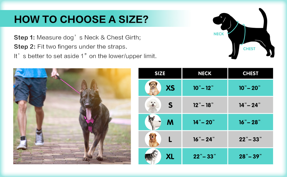 harness size