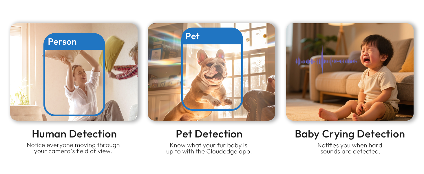 pet camera