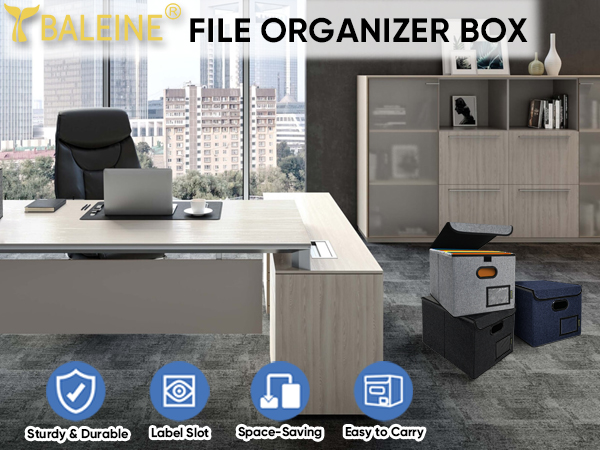 file organizer