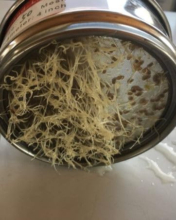 lab sieve