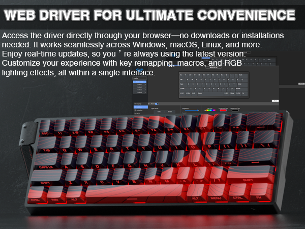 Web Driver