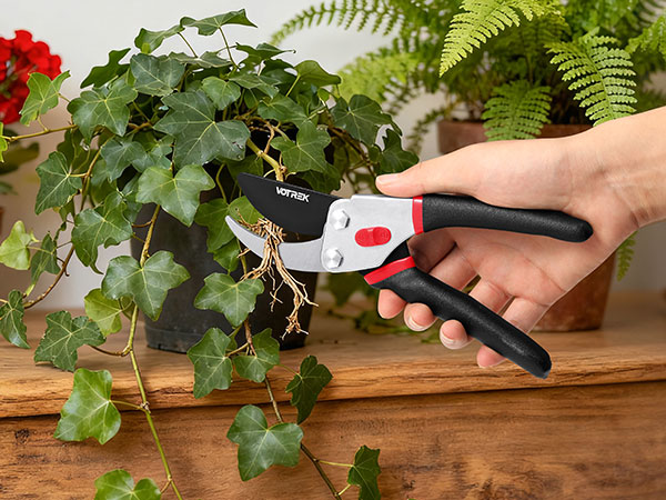 Hand holding red and white pruning shears while trimming plants, with decorative ferns and red flowers visible in background.