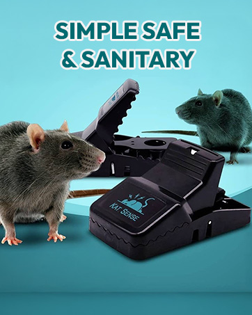 https://m.media-amazon.com/images/S/aplus-media-library-service-media/50ac45fe-e092-4d75-8af9-6b966a224099.__CR0,0,362,453_PT0_SX362_V1___.jpg