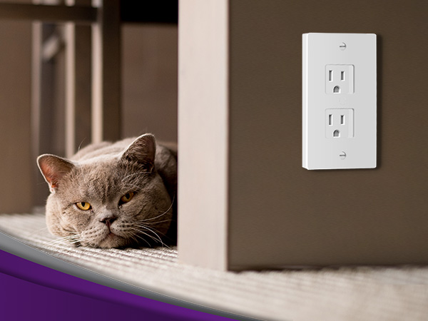 Pet Resistant