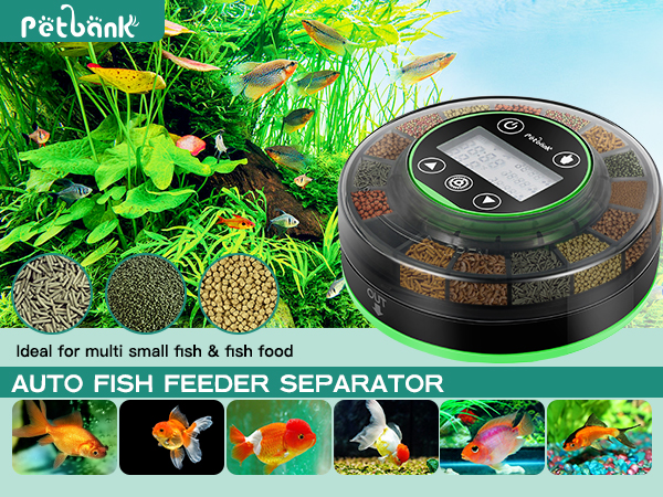 turtle feeder