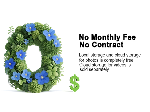 No monthly fee