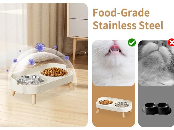 cat bowls for indoor cats