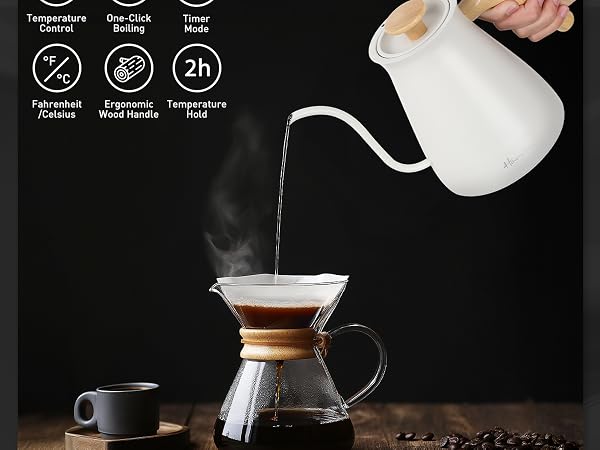 temperature control kettle