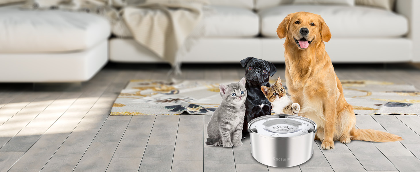 water bowl for dogs no spilling