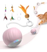 Interactive Cat Toys Ball - Electric Automatic Toys for Indoor Cats, LED Lights and Toys Feather ...