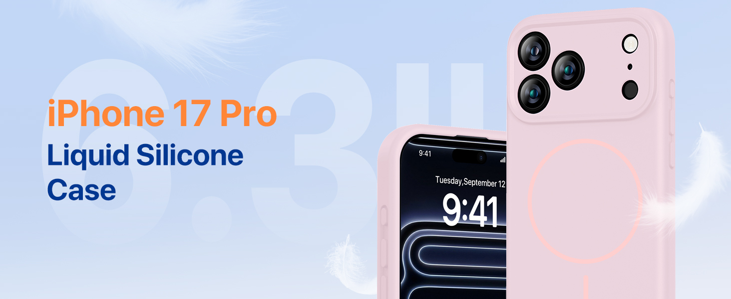 17 pro case