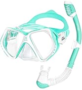 Seago Kids Snorkel Set for Age 6-14 Anti-Fog Scuba Diving Swimming Mask and Dry Top Snorkel for B...