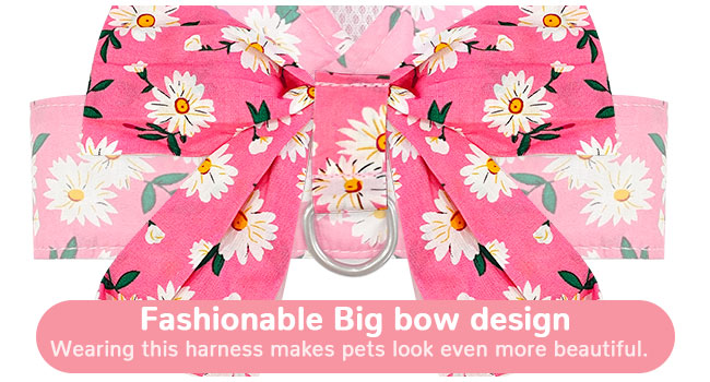 Small Dog Cats Harness