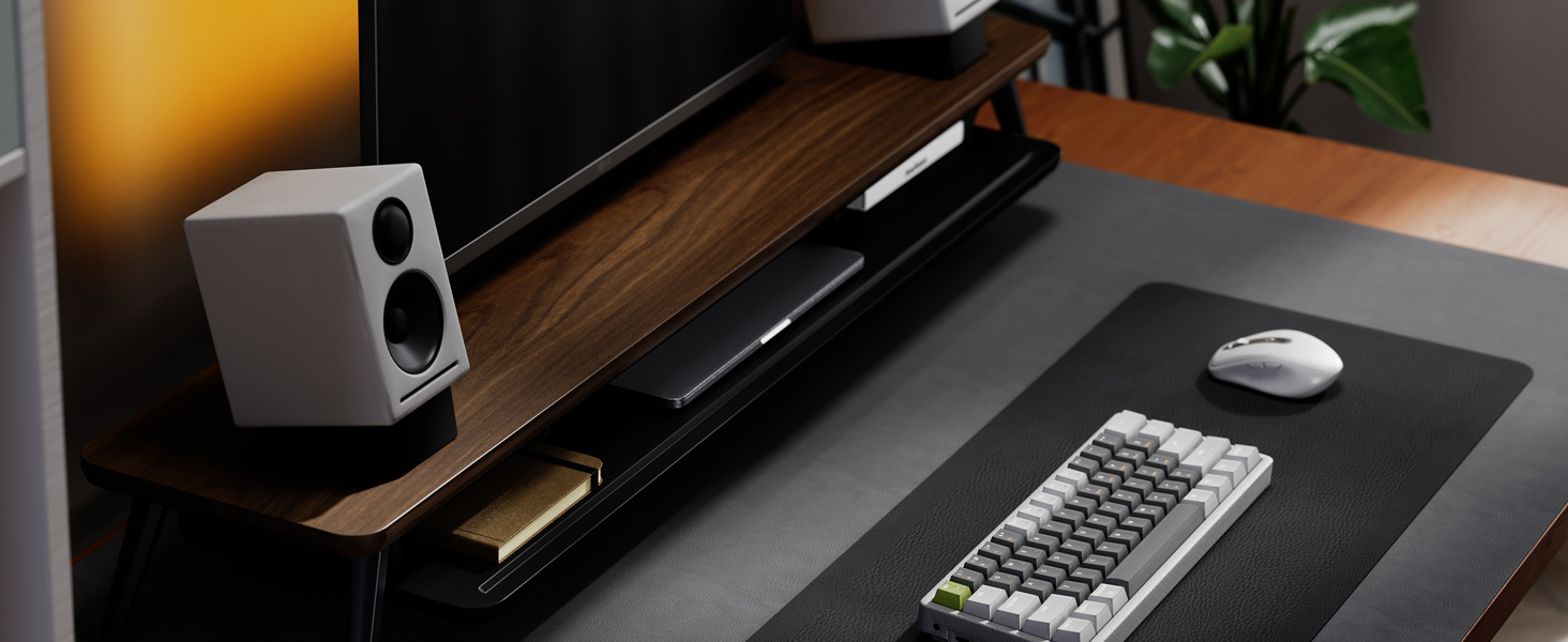 Dual Monitor Stand