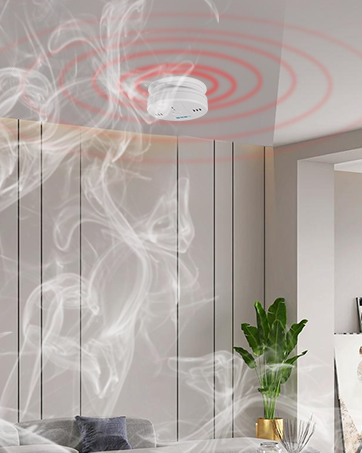 carbon monoxide detectors/smoke alarm