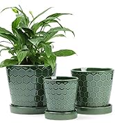 BUYMAX Ceramic Plant Pot – 4”+5”+6” inch Ceramic Flower Pot with Drainage Holes and Ceramic Tray ...