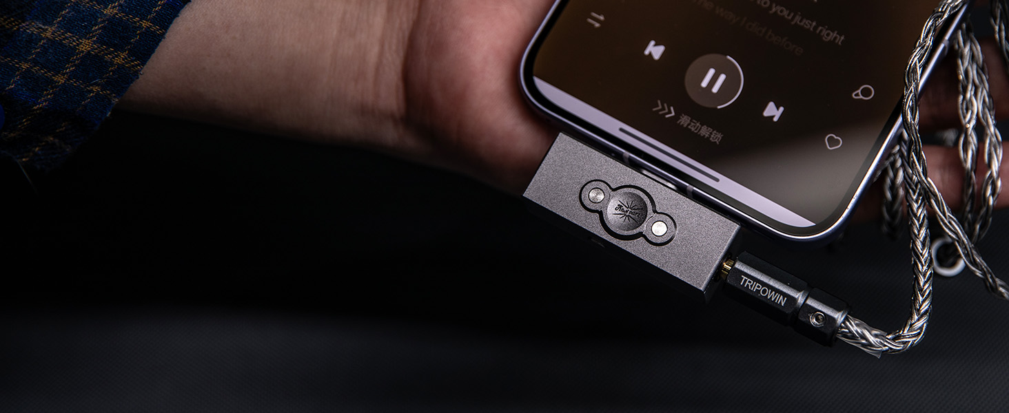 Kiwiears Allegro Pro