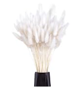 Artificial Decoratlon