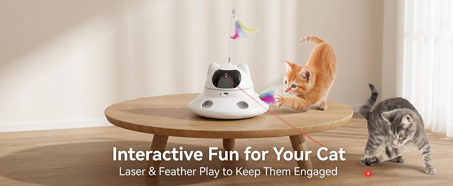 Interactive Fun for YourCat